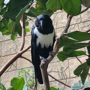 Meet your Posher, Shawn